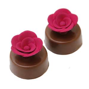 Rosa de Gianduia