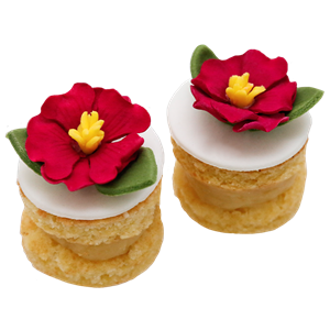 Petit Cakes de Maracujá